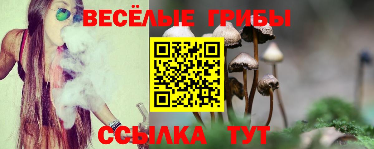 Галлюциногенные грибы Psilocybe Видное